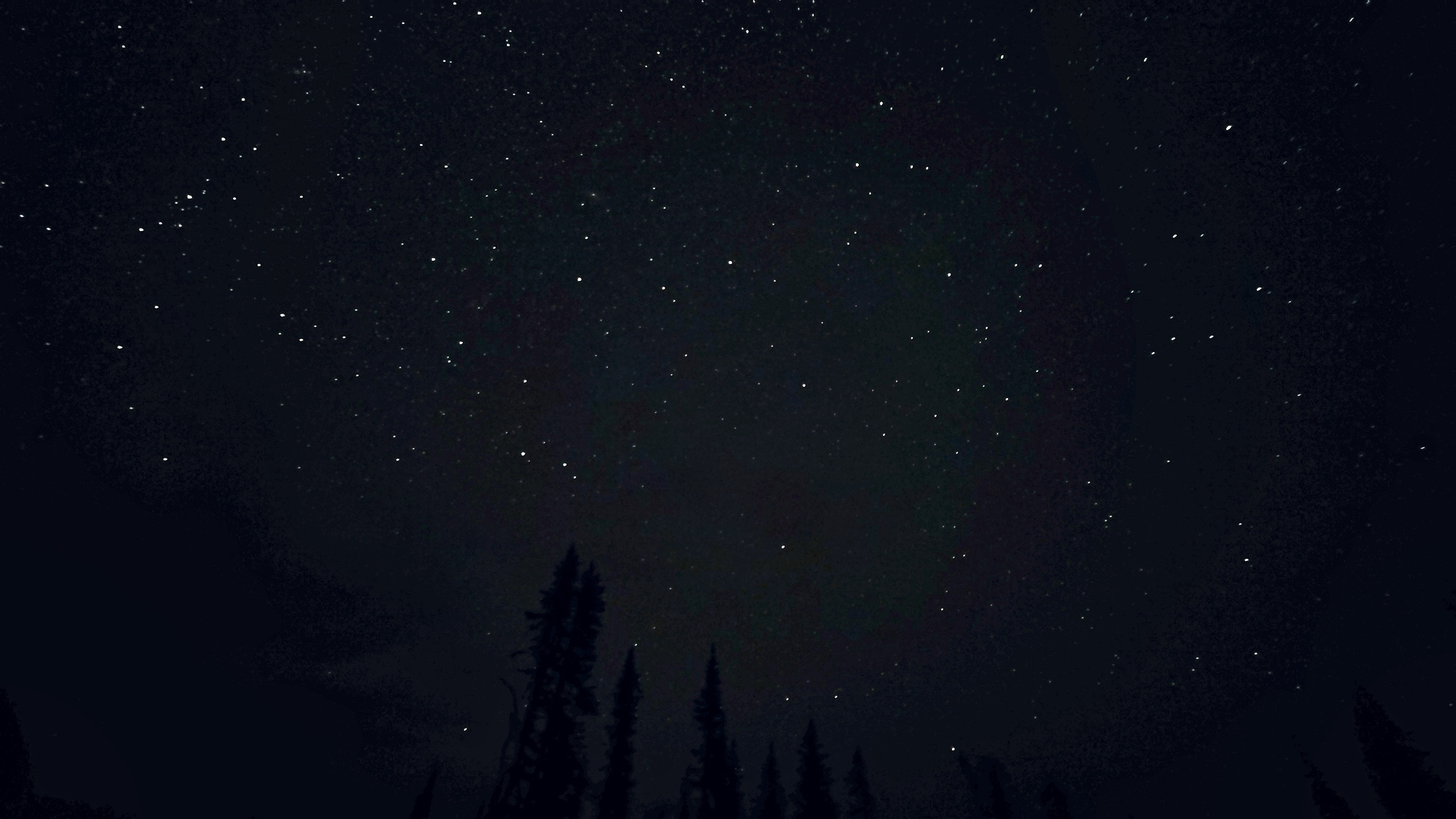 Персеиды на Mount Rainier: звёздное небо и тёмная линия хвойного леса на Paradise
