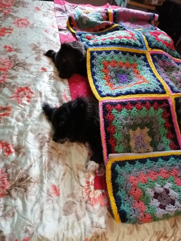 Алёнушка отдыхает под пледом — Alyonushka resting under a blanket