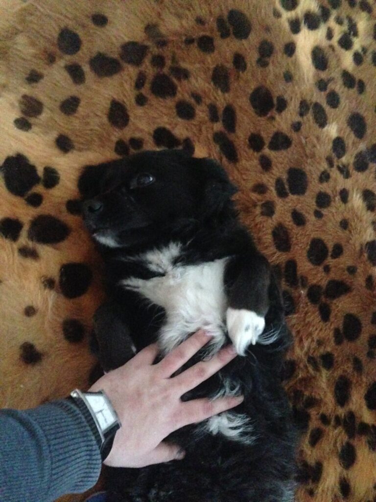 Алёнушка на руках у близкого человека — Alyonushka held by a loved one
